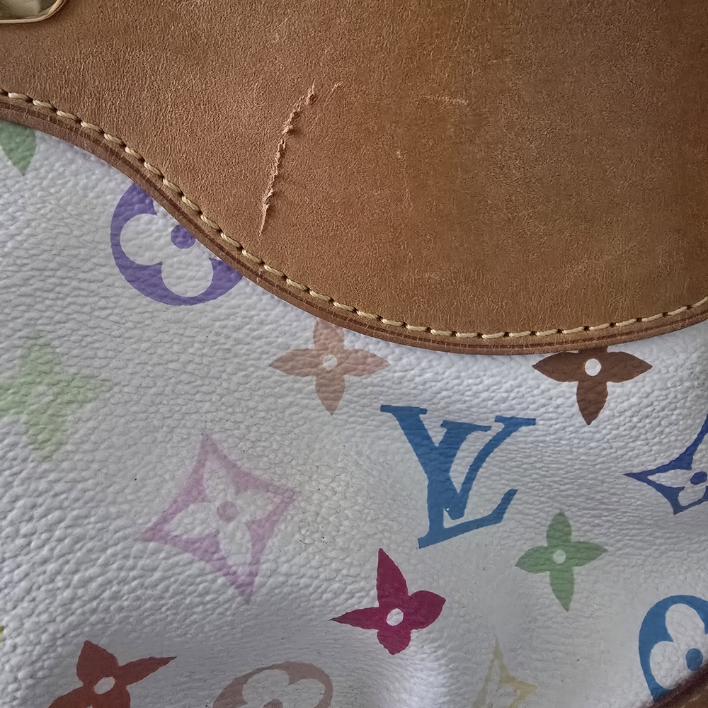 Louis Vuitton Multicolor Canvas and Brown Leather Women's Bag - Picture 2 of 16